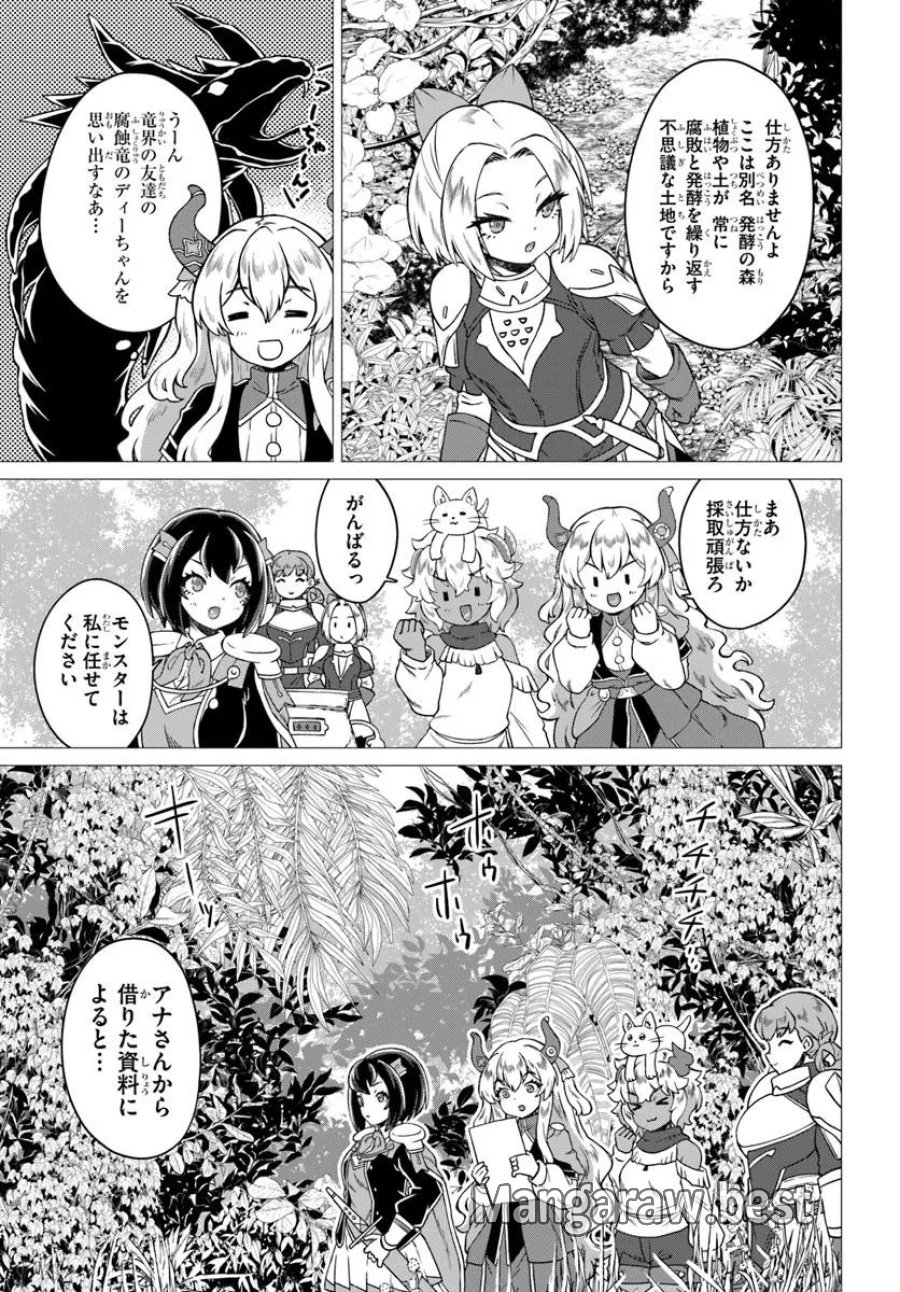 竜王さまの気ままな異世界ライフ 第12話 - Page 11