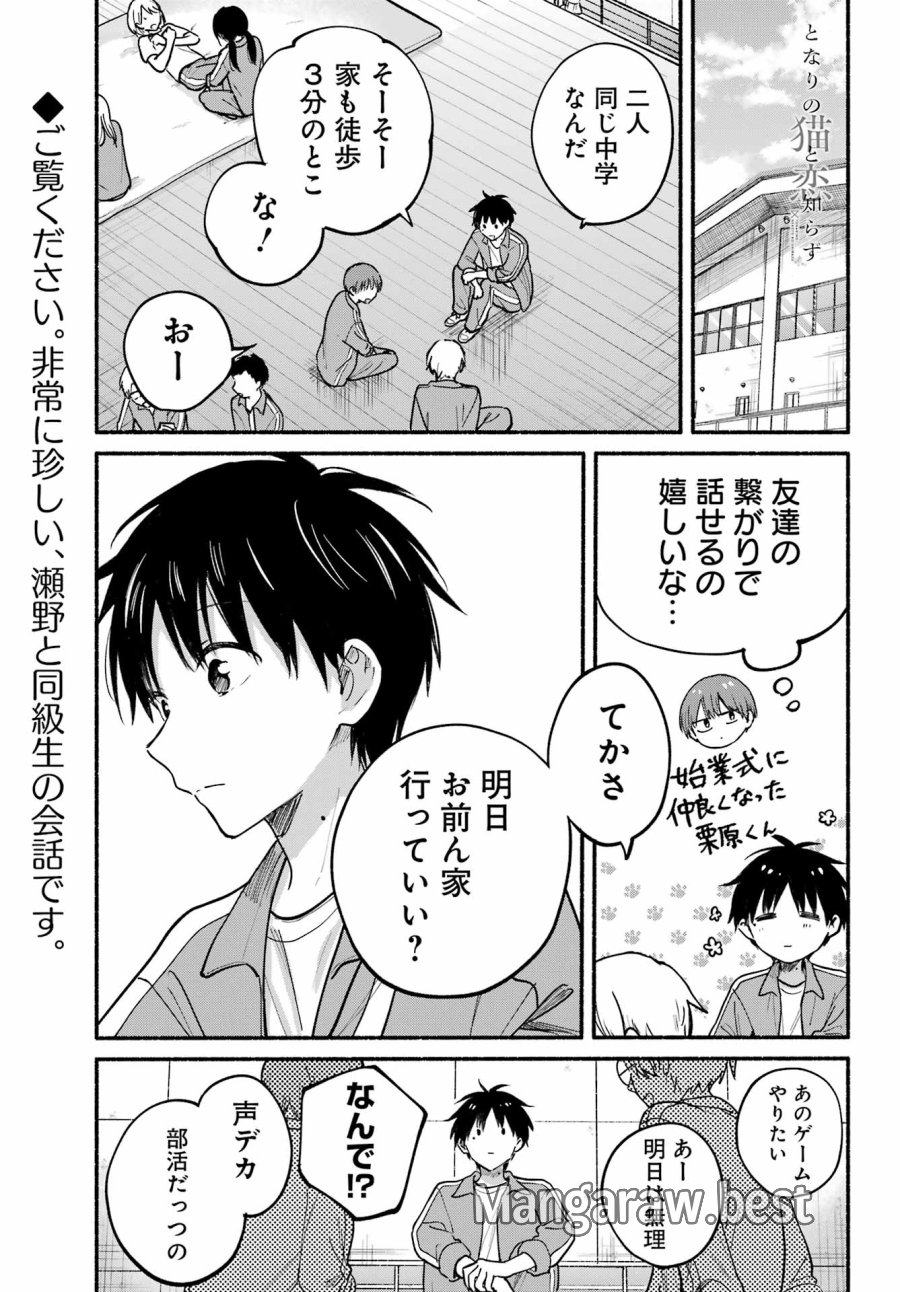 となりの猫と恋知らず 第36話 - Page 1