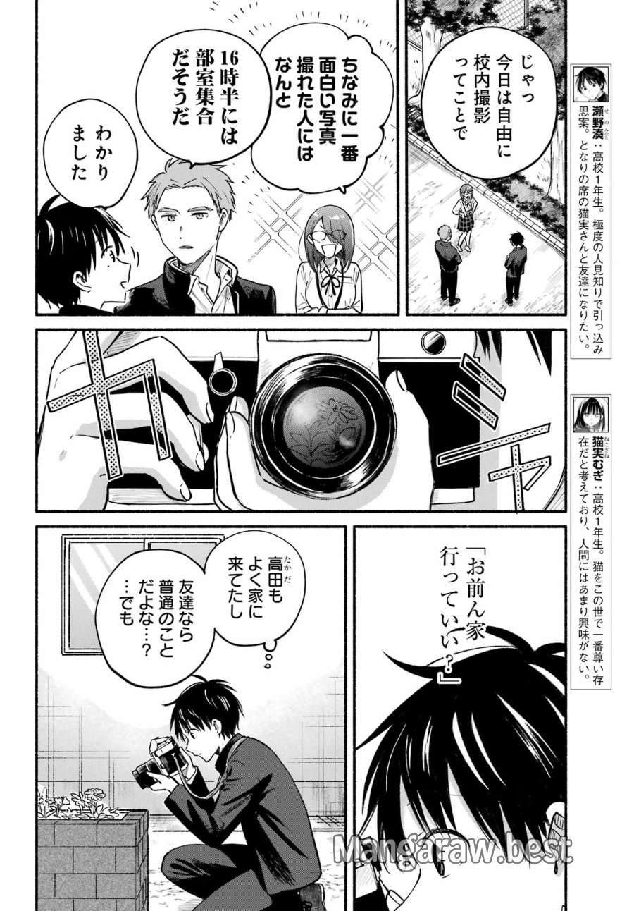 となりの猫と恋知らず 第36話 - Page 4