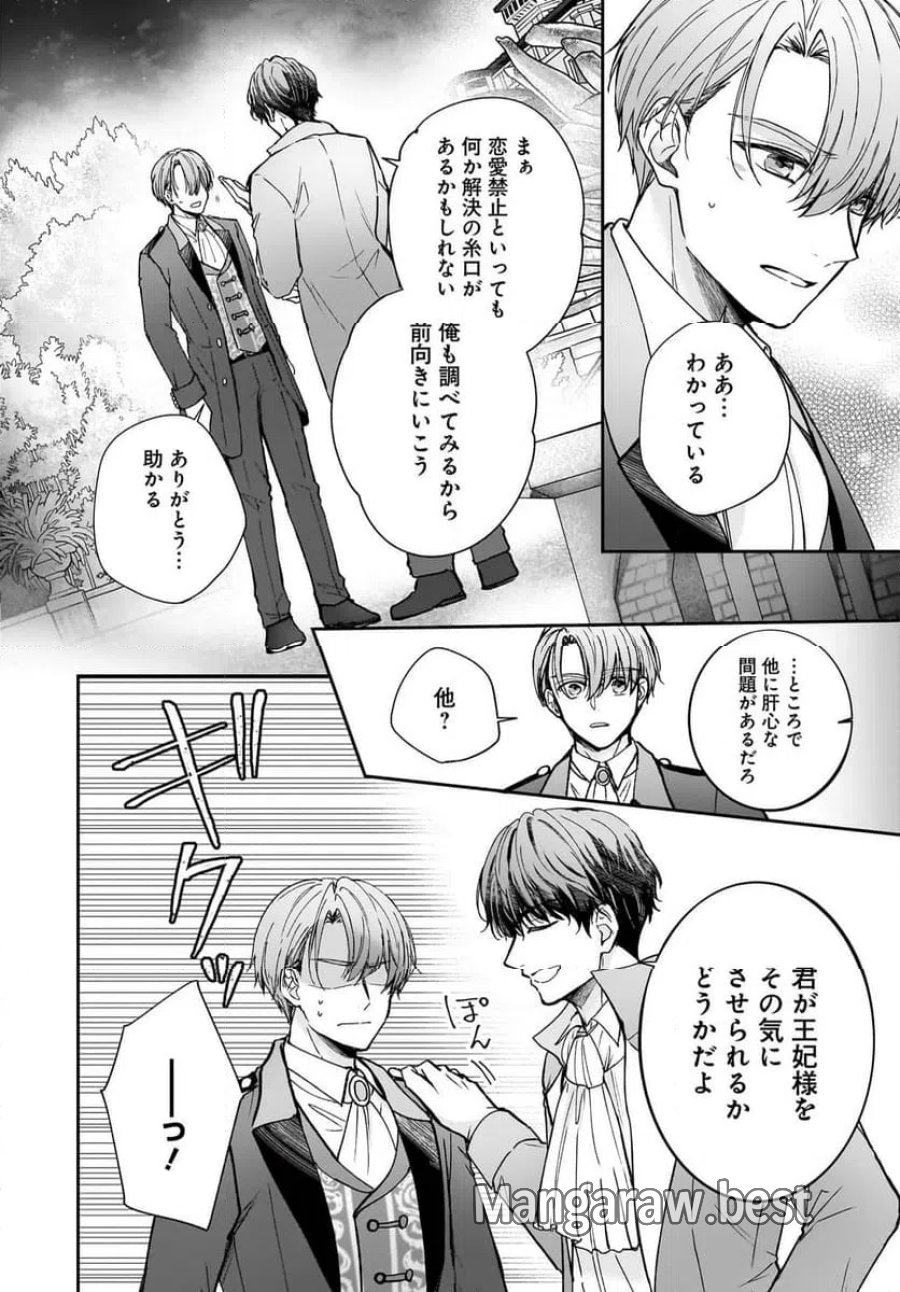職業王妃ですので王の溺愛はご遠慮願います 第4.2話 - Page 10