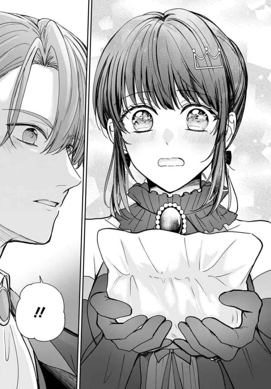 職業王妃ですので王の溺愛はご遠慮願います 第4.2話 - Page 15