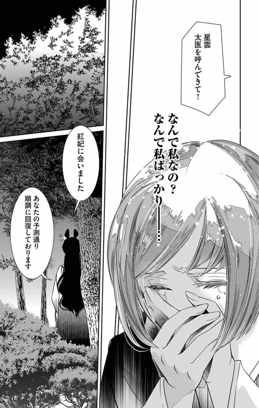 後宮の影公主～呪術師は謎を読む～ 第15話 - Page 15