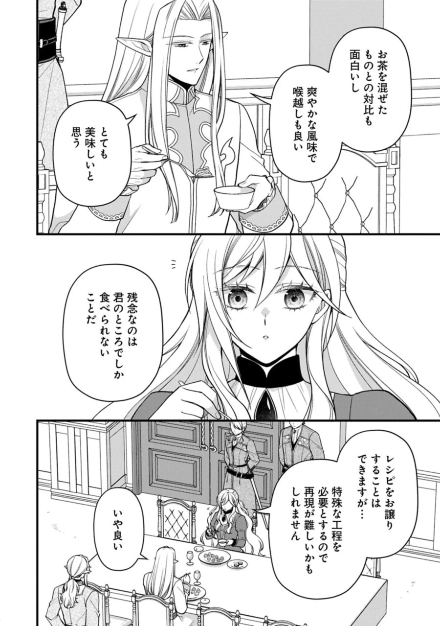婚約解消のち、お引越し。セイラン・リゼルの気ままで優雅な生活。～才色兼備の転生令嬢は前世チートで自由を満喫します～ 第11.2話 - Page 10