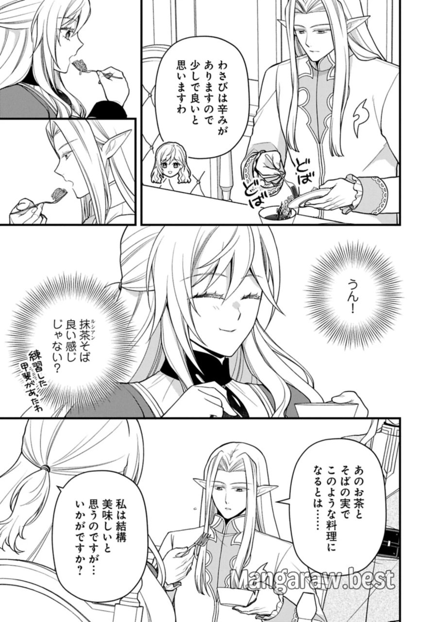 婚約解消のち、お引越し。セイラン・リゼルの気ままで優雅な生活。～才色兼備の転生令嬢は前世チートで自由を満喫します～ 第11.2話 - Page 9