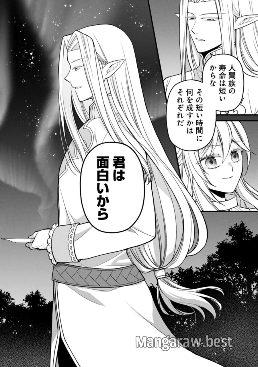 婚約解消のち、お引越し。セイラン・リゼルの気ままで優雅な生活。～才色兼備の転生令嬢は前世チートで自由を満喫します～ 第10.2話 - Page 8