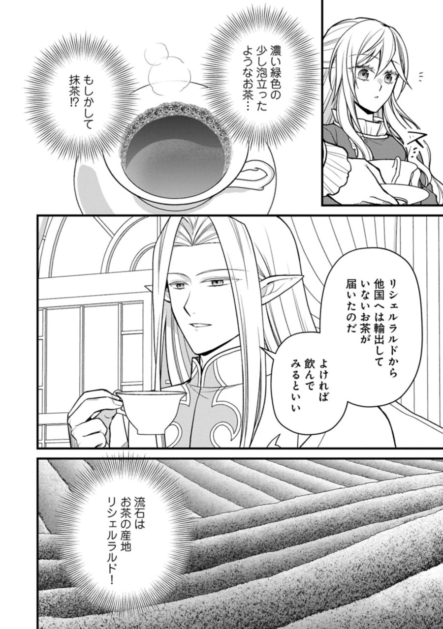 婚約解消のち、お引越し。セイラン・リゼルの気ままで優雅な生活。～才色兼備の転生令嬢は前世チートで自由を満喫します～ 第11.1話 - Page 2