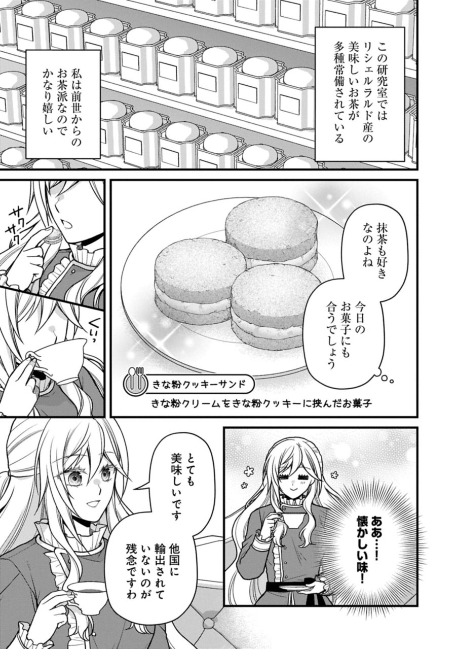 婚約解消のち、お引越し。セイラン・リゼルの気ままで優雅な生活。～才色兼備の転生令嬢は前世チートで自由を満喫します～ 第11.1話 - Page 3