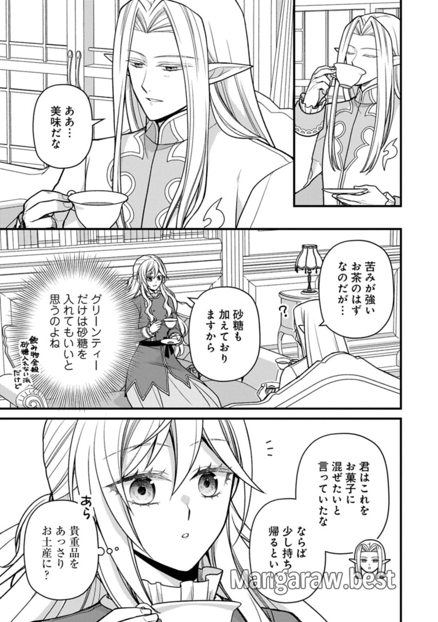婚約解消のち、お引越し。セイラン・リゼルの気ままで優雅な生活。～才色兼備の転生令嬢は前世チートで自由を満喫します～ 第11.1話 - Page 5