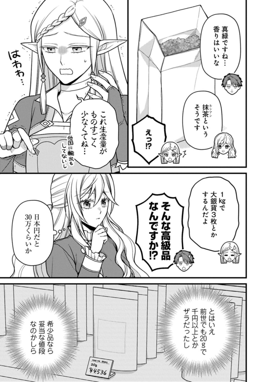 婚約解消のち、お引越し。セイラン・リゼルの気ままで優雅な生活。～才色兼備の転生令嬢は前世チートで自由を満喫します～ 第11.1話 - Page 7