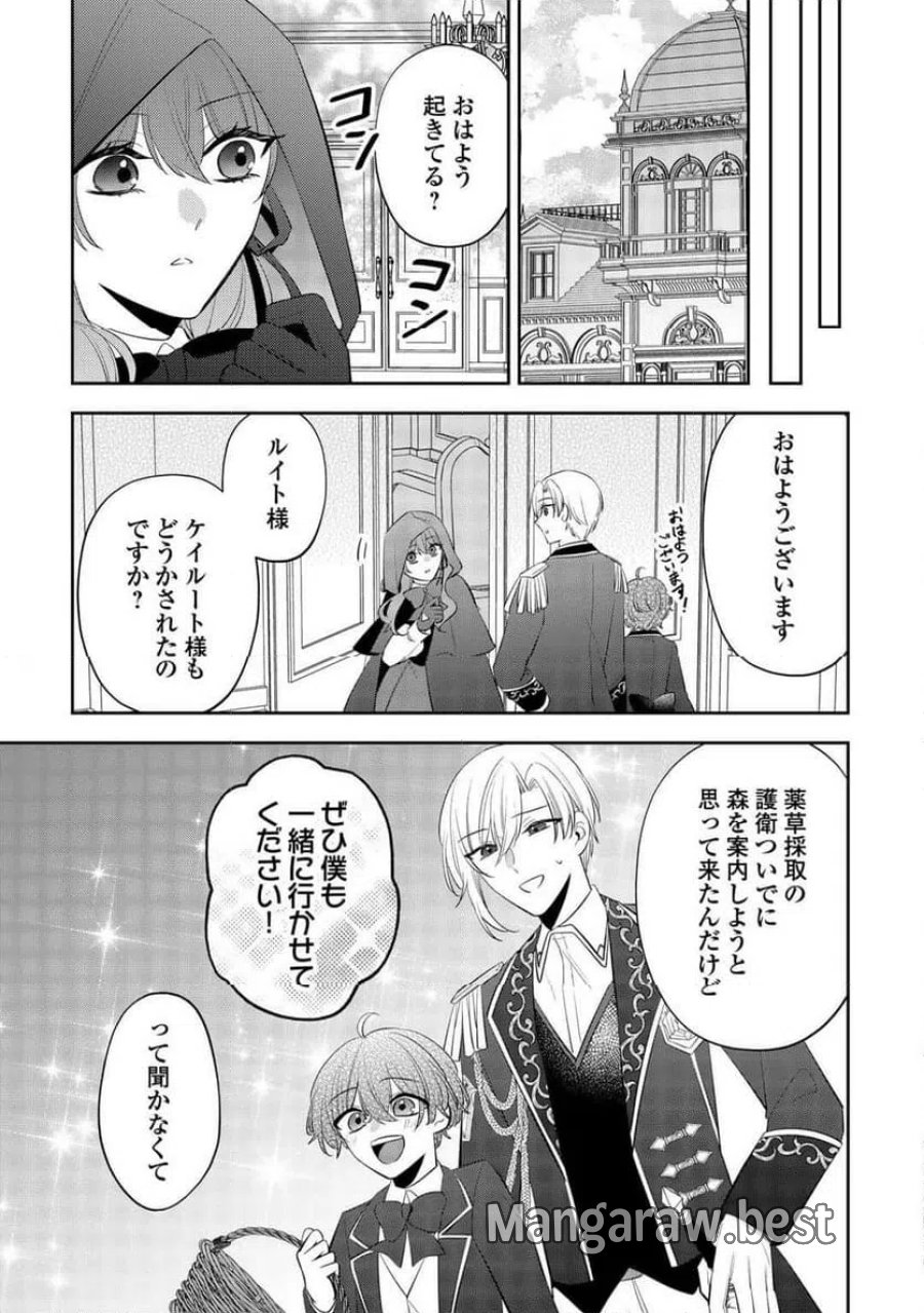 前世で処刑された聖女、今は黒薬師と呼ばれています 第6話 - Page 17