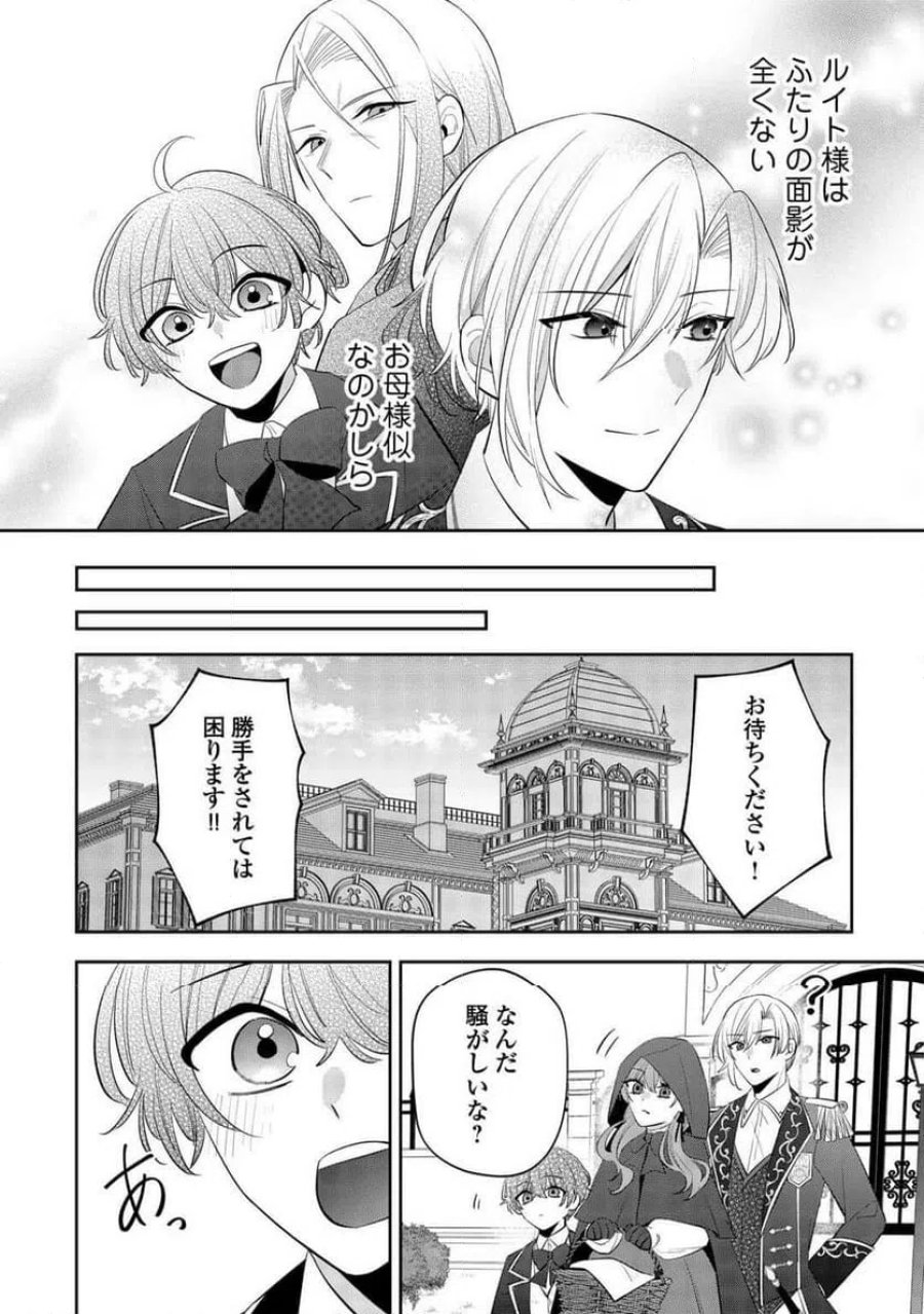 前世で処刑された聖女、今は黒薬師と呼ばれています 第6話 - Page 26