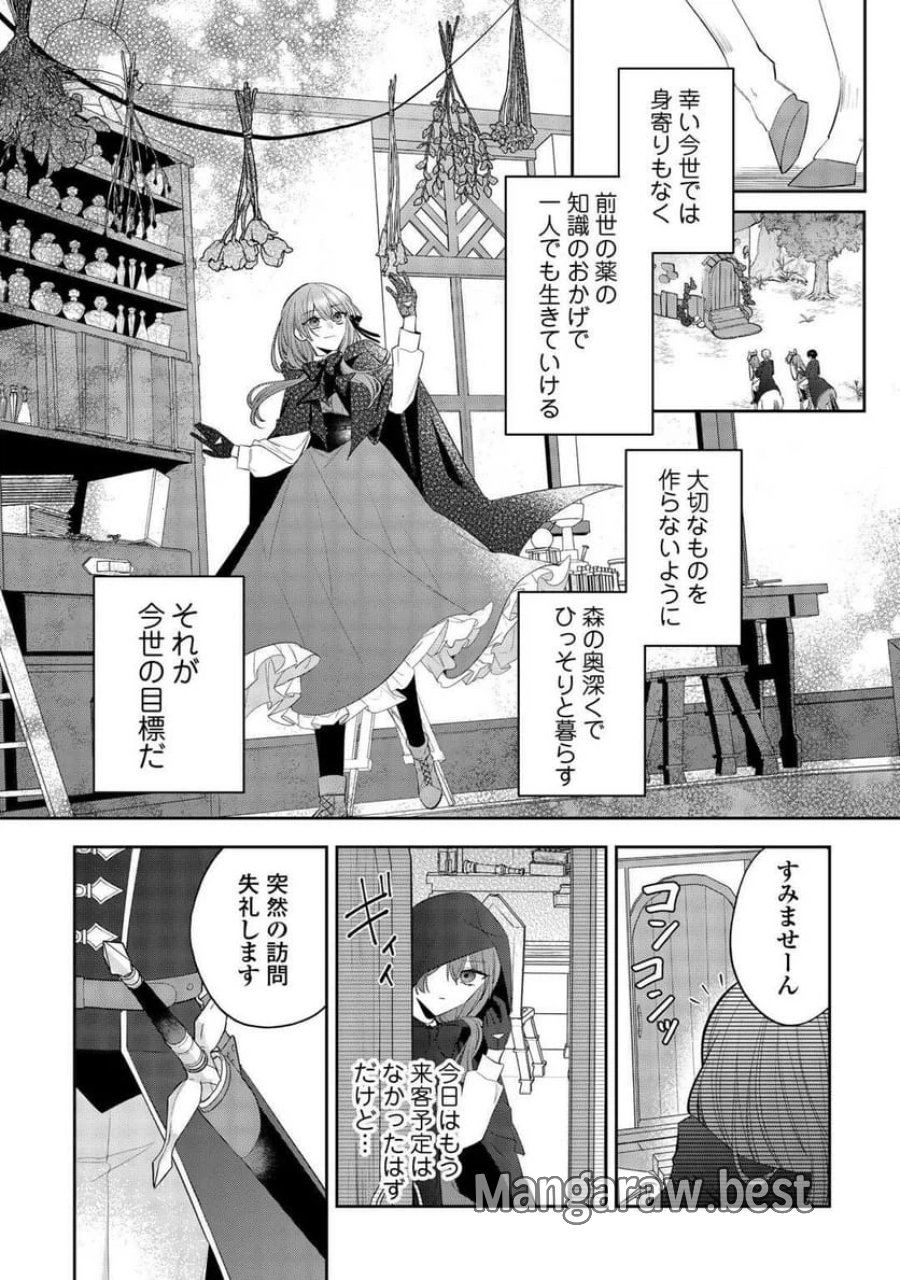 前世で処刑された聖女、今は黒薬師と呼ばれています 第1話 - Page 10