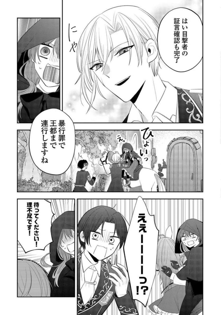 前世で処刑された聖女、今は黒薬師と呼ばれています 第1話 - Page 15