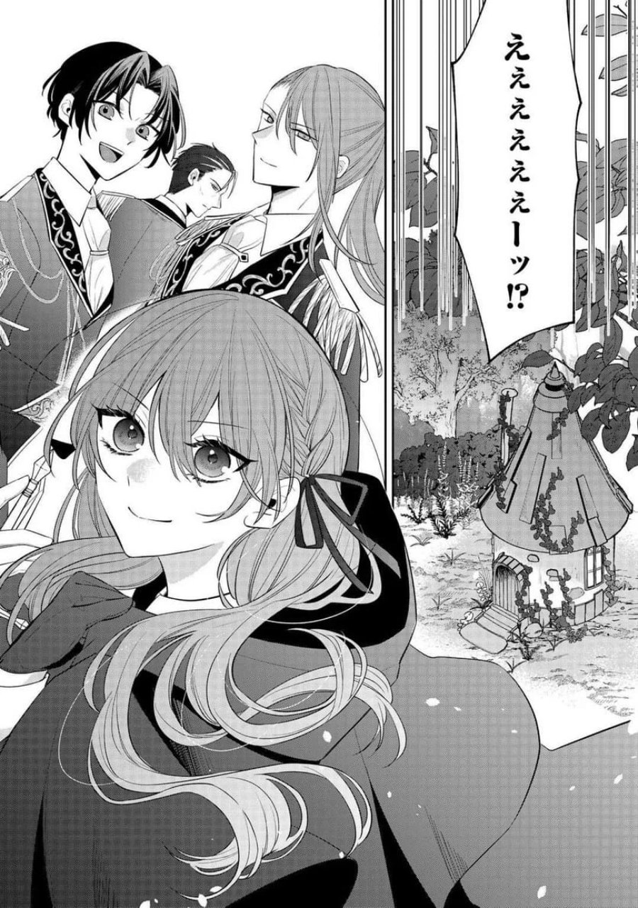 前世で処刑された聖女、今は黒薬師と呼ばれています 第1話 - Page 2