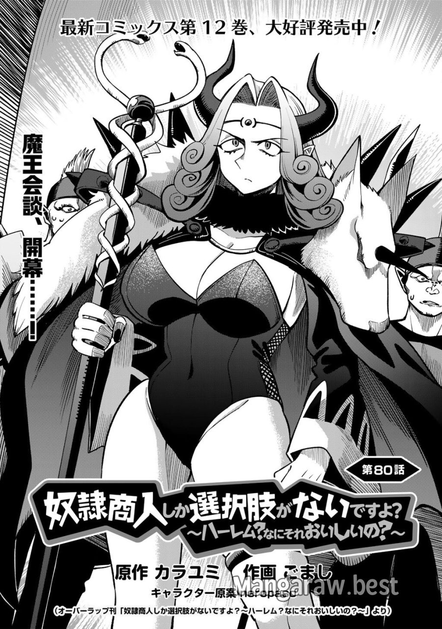 奴隷商人しか選択肢がないですよ?～ハーレム?なにそれおいしいの?～ 第80話 - Trang 2
