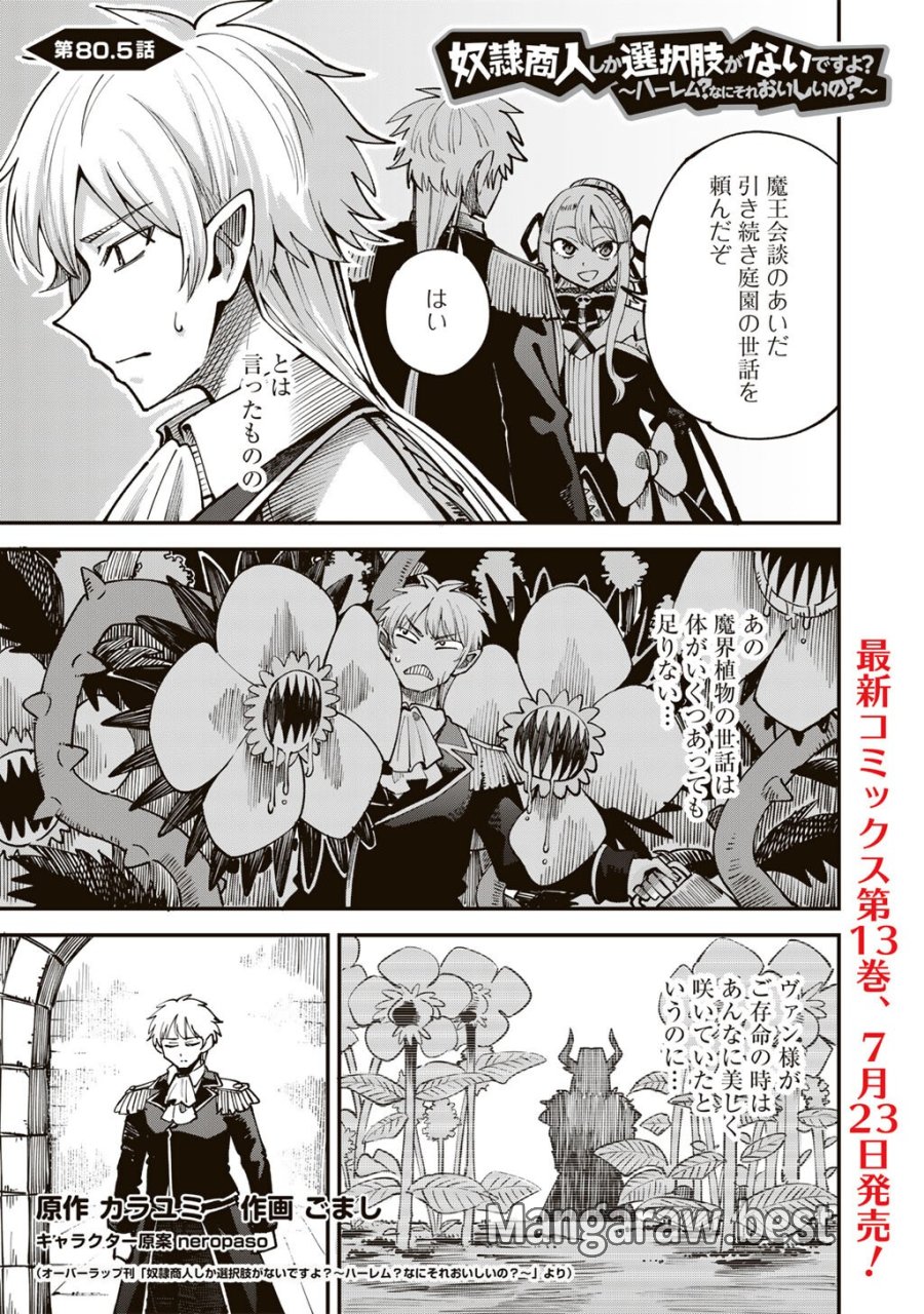 奴隷商人しか選択肢がないですよ?～ハーレム?なにそれおいしいの?～ 第80.5話 - Page 1