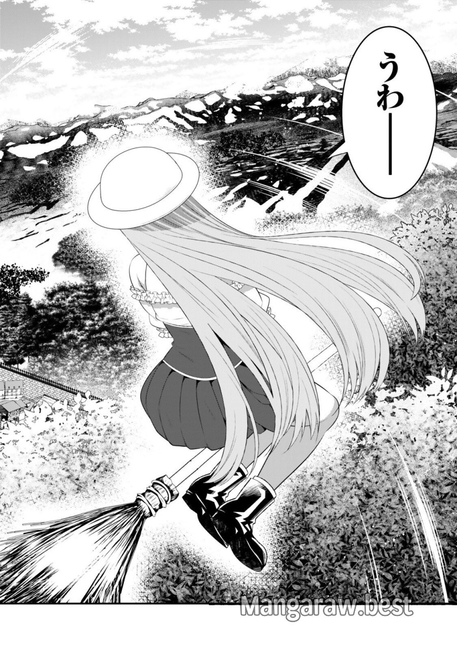 私の魔法は絶対に当たるんです ～スローライフを守るために魔法を撃ち続けていたら、いつの間にか森の聖女になっていました～ 第6.2話 - Trang 5