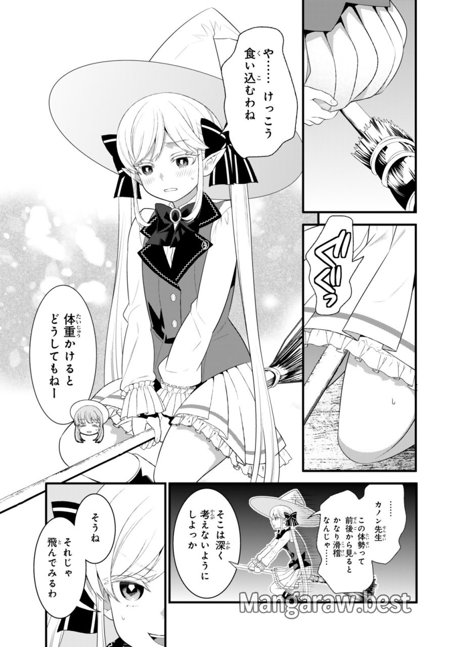 私の魔法は絶対に当たるんです ～スローライフを守るために魔法を撃ち続けていたら、いつの間にか森の聖女になっていました～ 第6.3話 - Trang 6