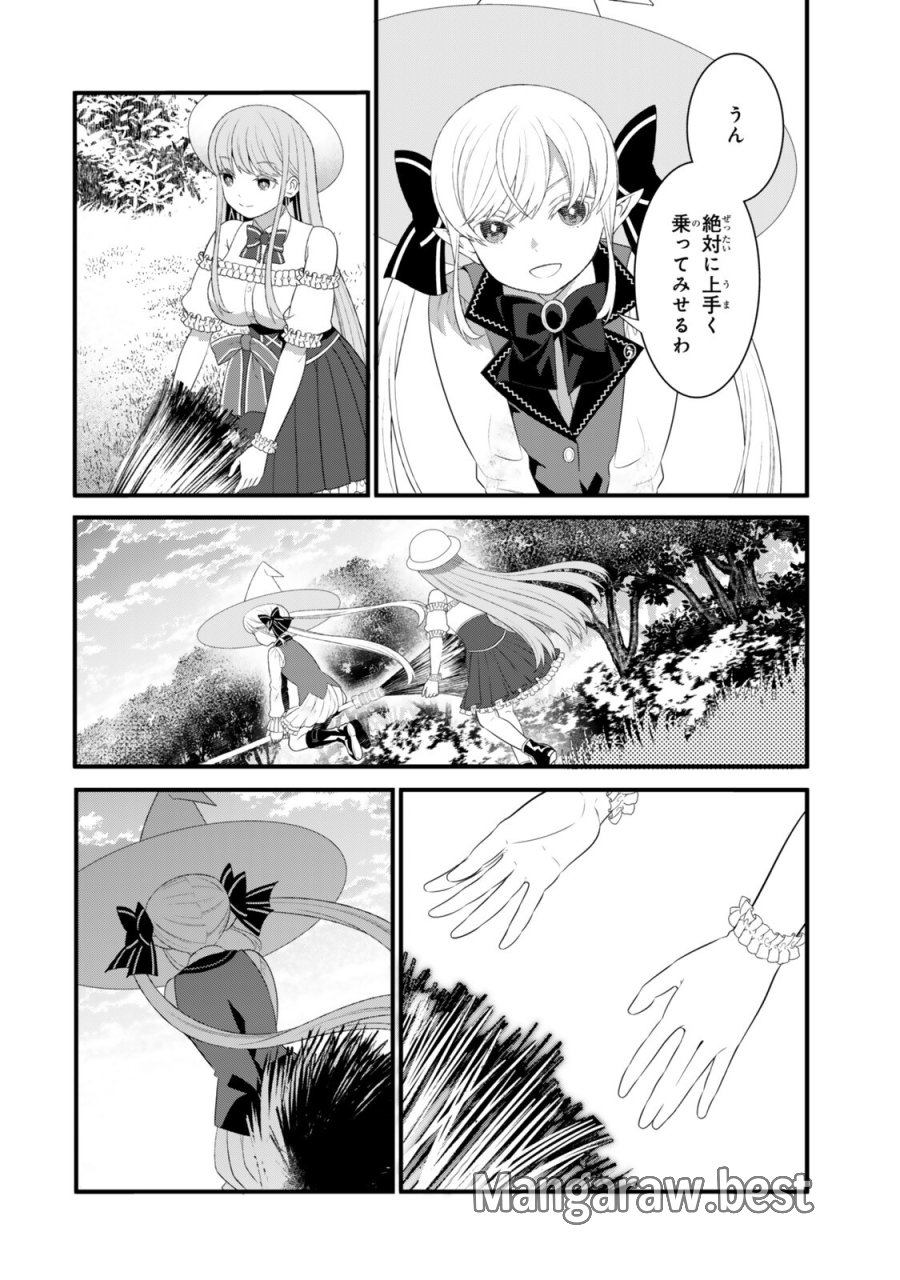 私の魔法は絶対に当たるんです ～スローライフを守るために魔法を撃ち続けていたら、いつの間にか森の聖女になっていました～ 第7.2話 - Page 3