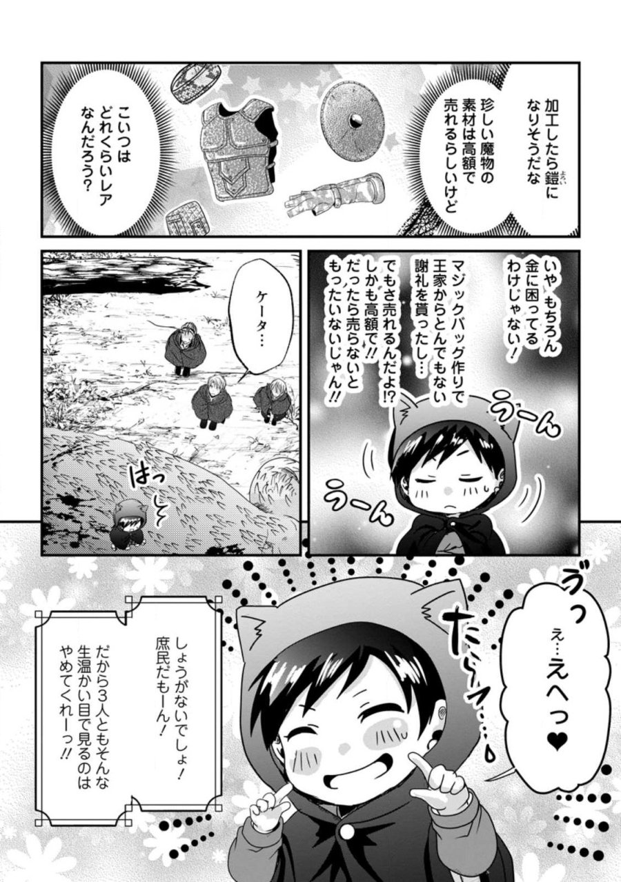 ちったい俺の巻き込まれ異世界生活 第29.3話 - Page 9