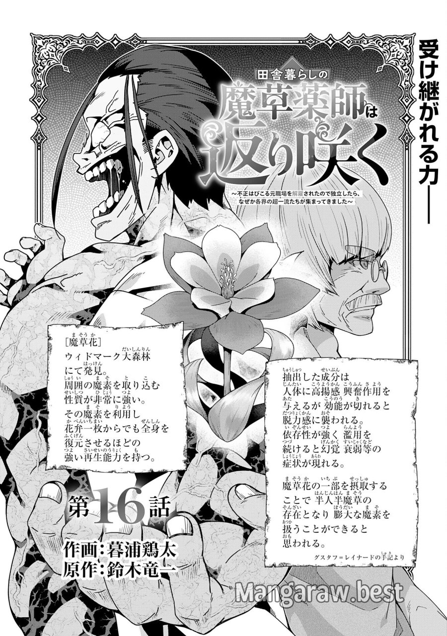 田舎暮らしの魔草薬師は返り咲く～不正はびこる元職場を解雇されたので独立したら、なぜか各界の超一流たちが集まってきました～ 第16話 - Trang 3