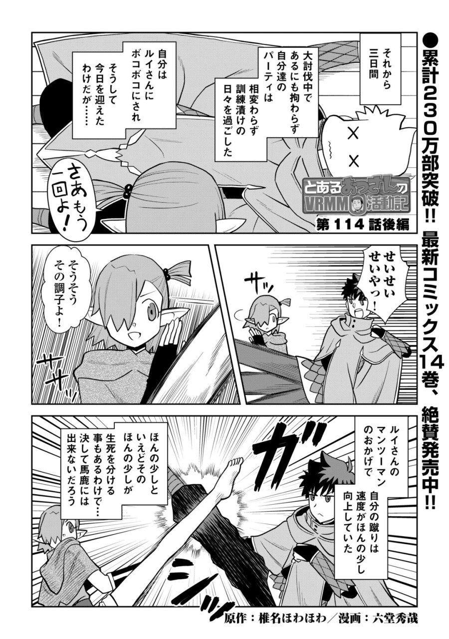 とあるおっさんのVRMMO活動記 第114.2話 - Page 1
