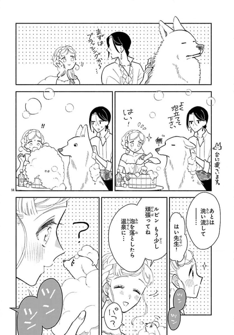 獣王子の偽恋花嫁 第9.1話 - Page 14