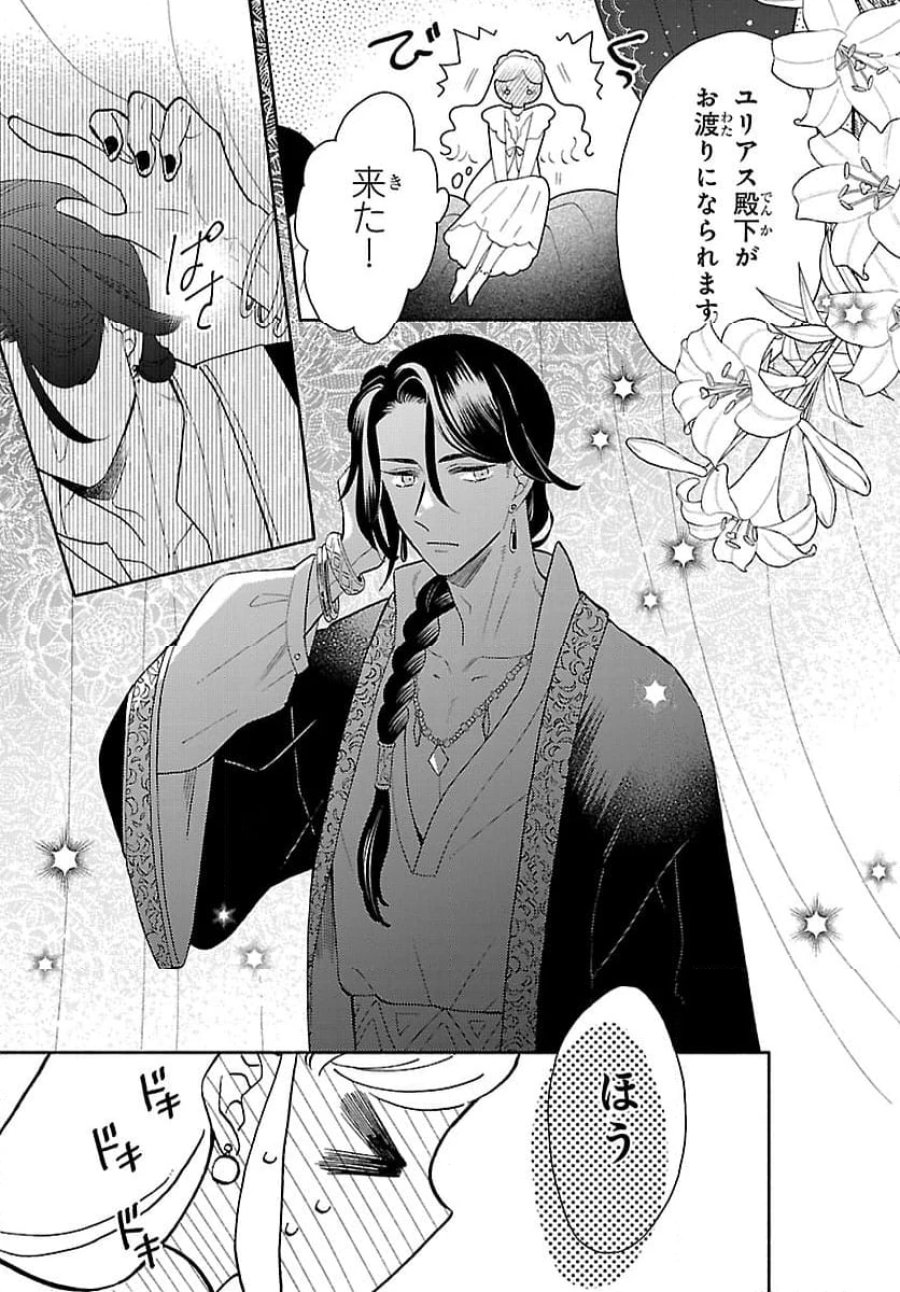 獣王子の偽恋花嫁 第1話 - Page 27