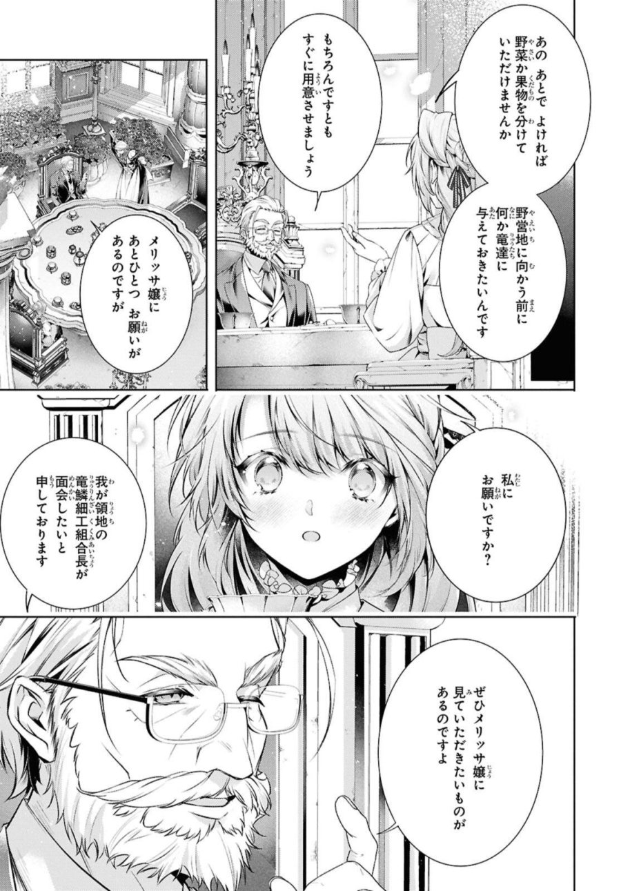 竜騎士のお気に入り 第58.1話 - Page 11