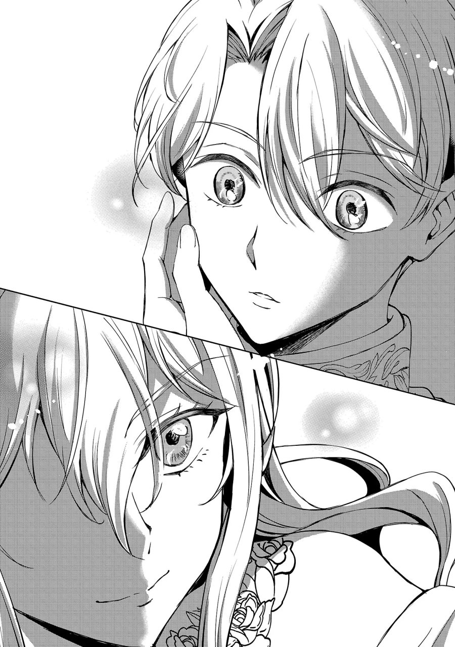 推しの妹に転生してしまったので、 最凶の悪女になってお兄様を独占することにいたします 第19.2話 - Page 2