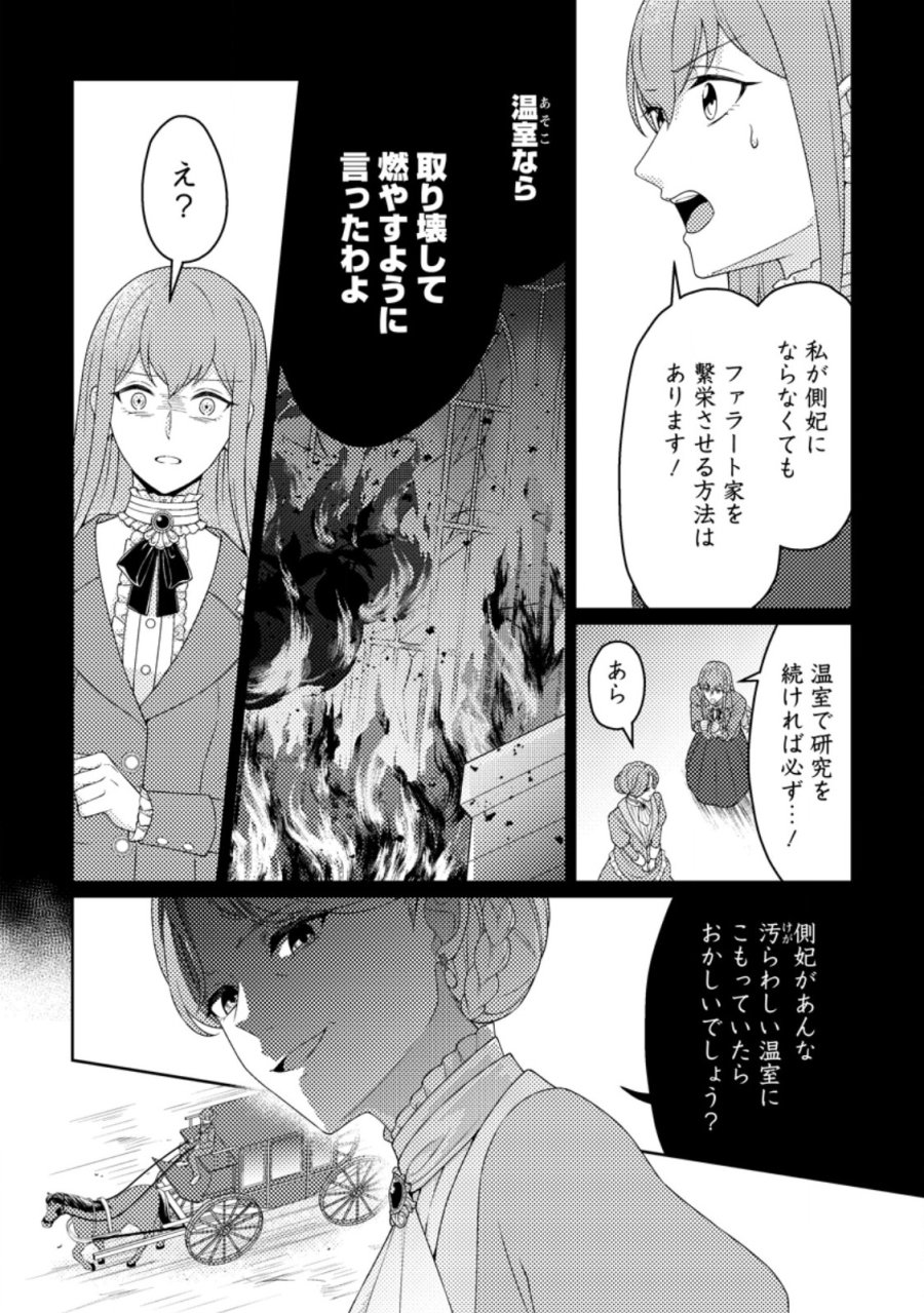 王妃になる予定でしたが、偽聖女の汚名を着せられたので逃亡したら、皇太子に溺愛されました。そちらもどうぞお幸せに。 第33.2話 - Page 1