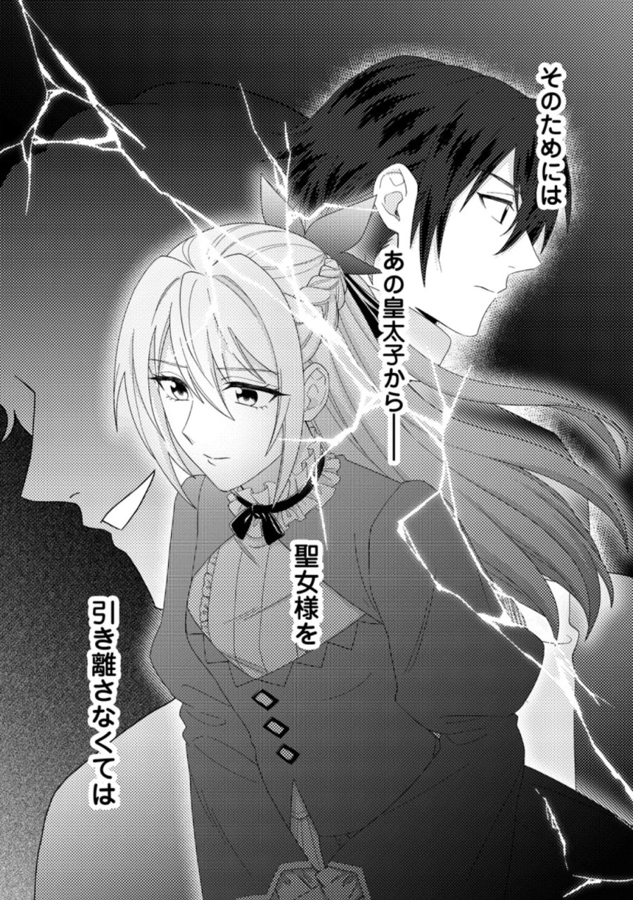 王妃になる予定でしたが、偽聖女の汚名を着せられたので逃亡したら、皇太子に溺愛されました。そちらもどうぞお幸せに。 第33.3話 - Page 9