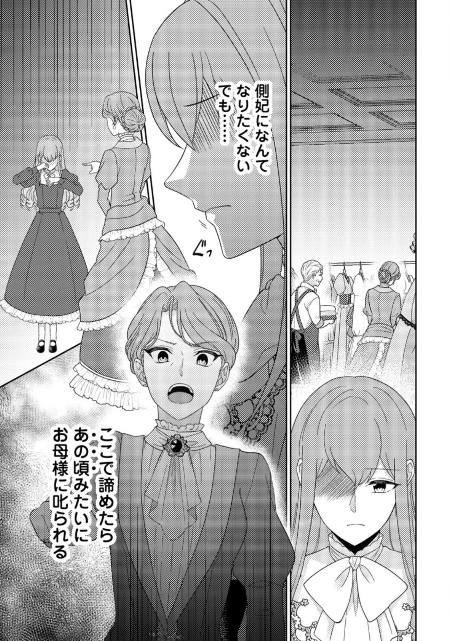 王妃になる予定でしたが、偽聖女の汚名を着せられたので逃亡したら、皇太子に溺愛されました。そちらもどうぞお幸せに。 第33.1話 - Page 1
