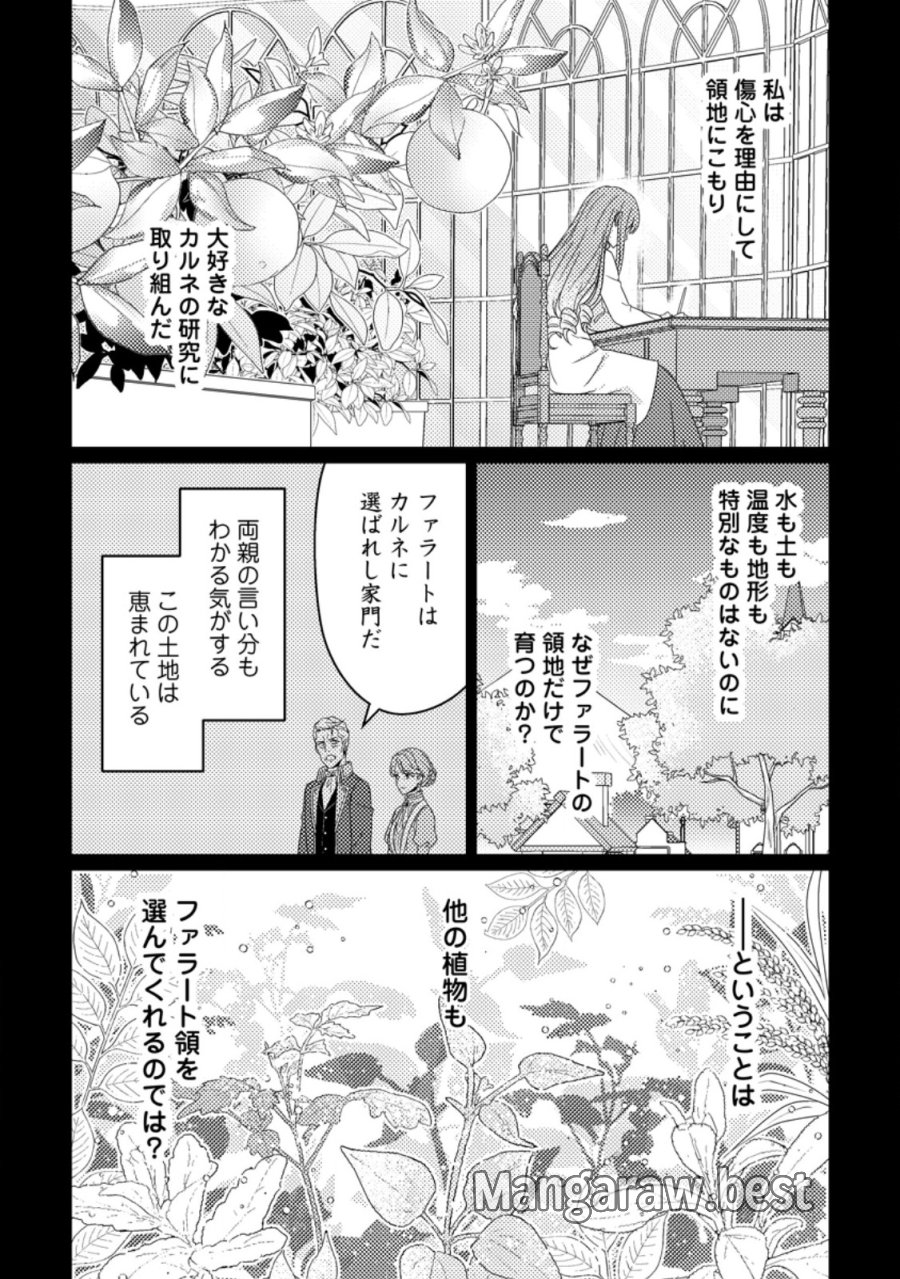 王妃になる予定でしたが、偽聖女の汚名を着せられたので逃亡したら、皇太子に溺愛されました。そちらもどうぞお幸せに。 第33.1話 - Page 4