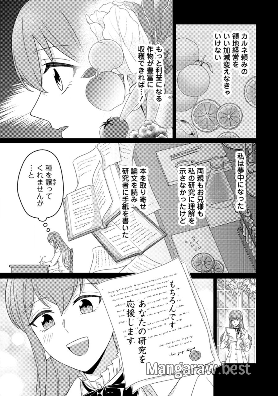 王妃になる予定でしたが、偽聖女の汚名を着せられたので逃亡したら、皇太子に溺愛されました。そちらもどうぞお幸せに。 第33.1話 - Page 5