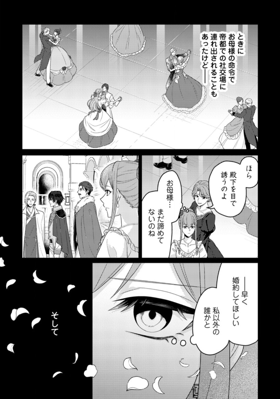 王妃になる予定でしたが、偽聖女の汚名を着せられたので逃亡したら、皇太子に溺愛されました。そちらもどうぞお幸せに。 第33.1話 - Page 6