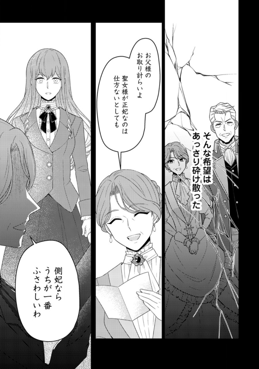 王妃になる予定でしたが、偽聖女の汚名を着せられたので逃亡したら、皇太子に溺愛されました。そちらもどうぞお幸せに。 第33.1話 - Page 9
