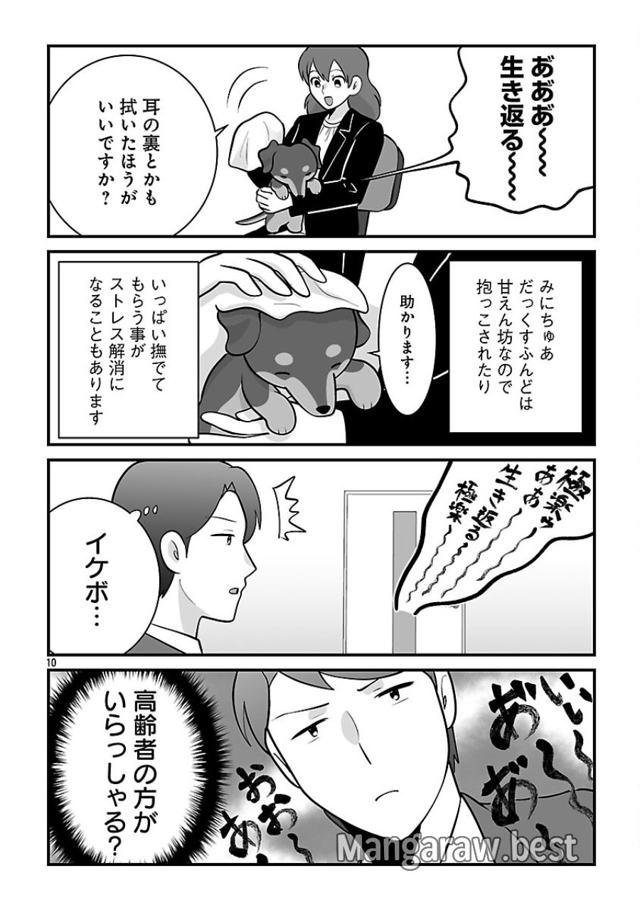 異世界サモナー、神話の怪物達と現代で無双する ～裏切られた元英雄は、愛重めな仲間と平和に暮らしたい～ 第8.2話 - Trang 12