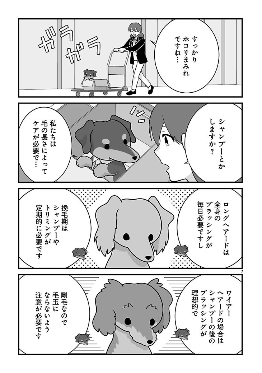 異世界サモナー、神話の怪物達と現代で無双する ～裏切られた元英雄は、愛重めな仲間と平和に暮らしたい～ 第8.2話 - Trang 9