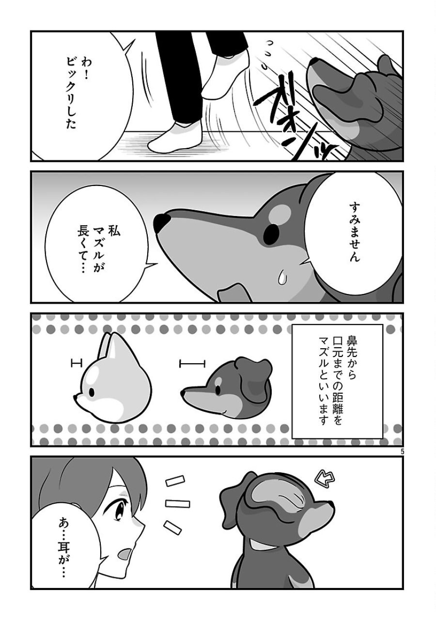 異世界サモナー、神話の怪物達と現代で無双する ～裏切られた元英雄は、愛重めな仲間と平和に暮らしたい～ 第8.1話 - Trang 7