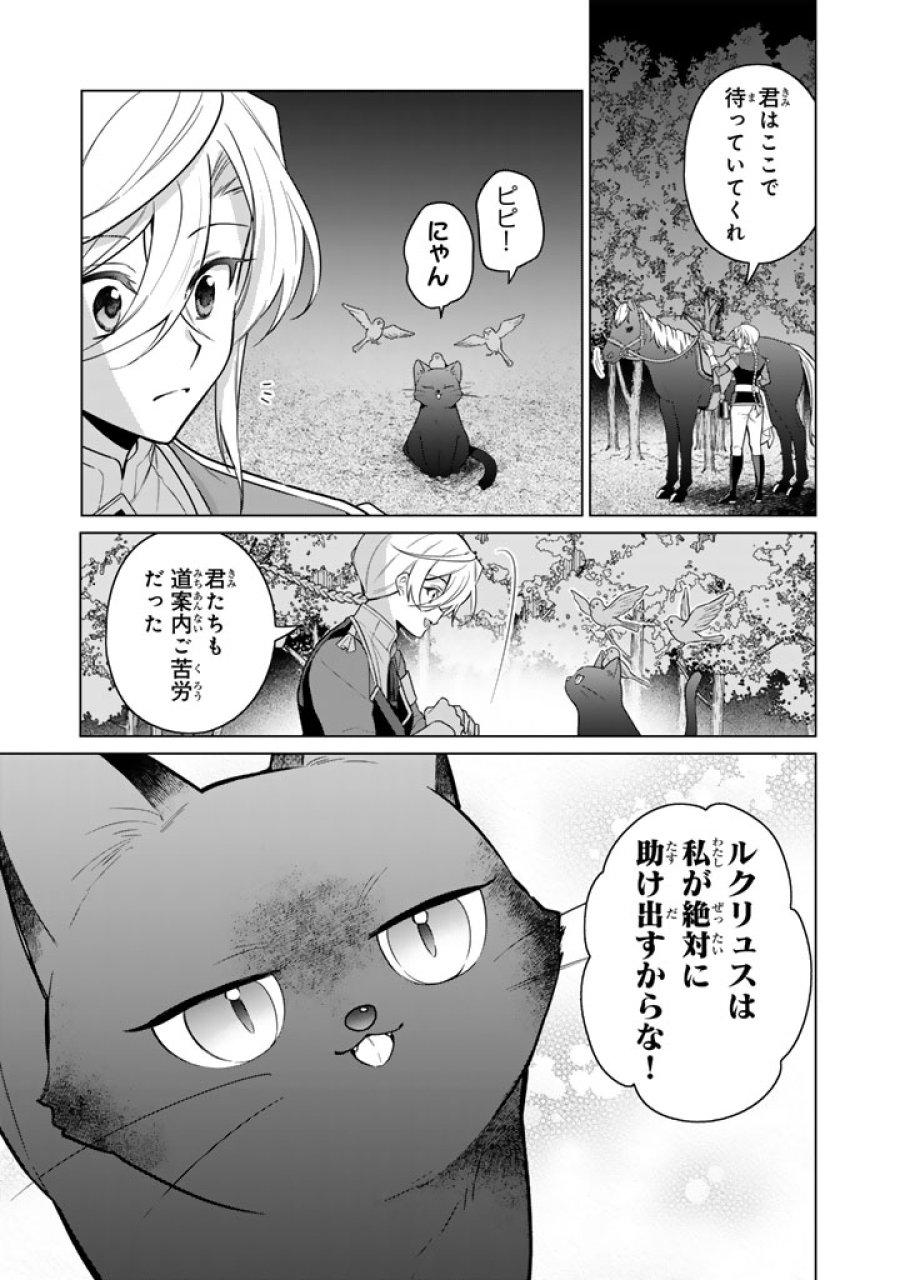 岩石乙女と小石ちゃん〜軍人令嬢は幼馴染が可愛すぎて瀕死です〜 第14.1話 - Page 11