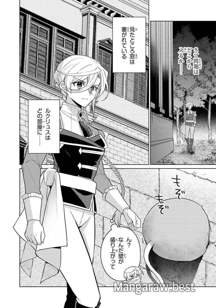 岩石乙女と小石ちゃん〜軍人令嬢は幼馴染が可愛すぎて瀕死です〜 第14.1話 - Page 12