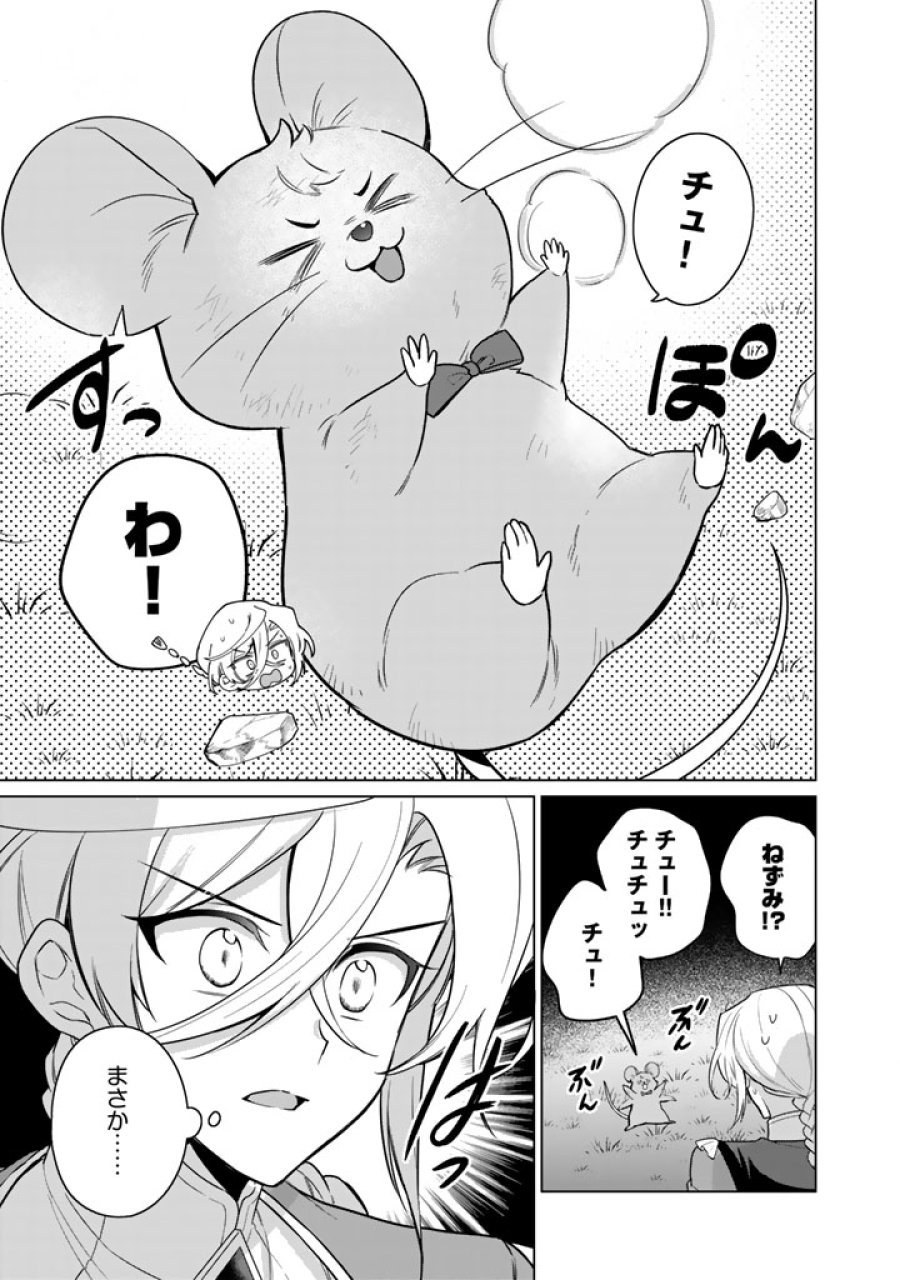 岩石乙女と小石ちゃん〜軍人令嬢は幼馴染が可愛すぎて瀕死です〜 第14.1話 - Page 13