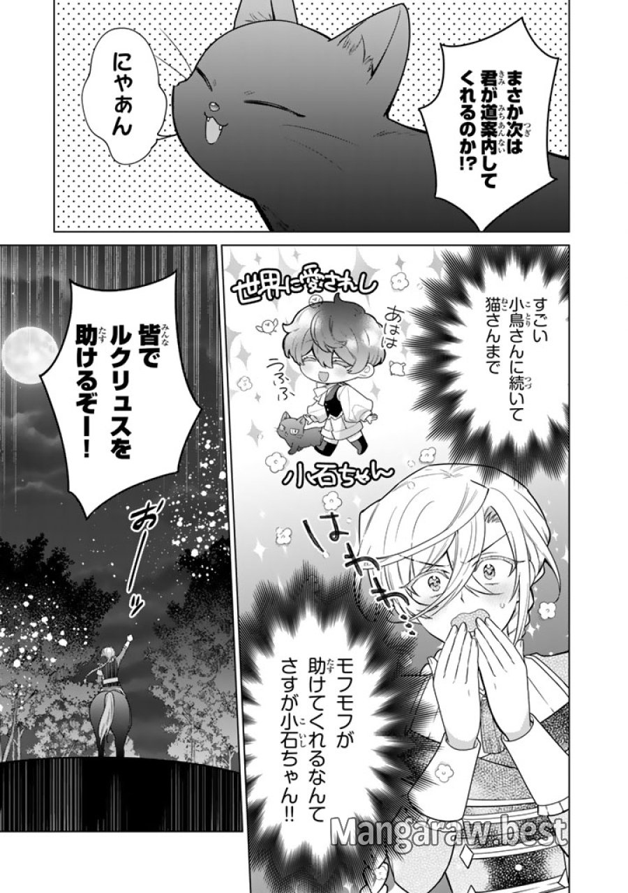 岩石乙女と小石ちゃん〜軍人令嬢は幼馴染が可愛すぎて瀕死です〜 第14.1話 - Page 9