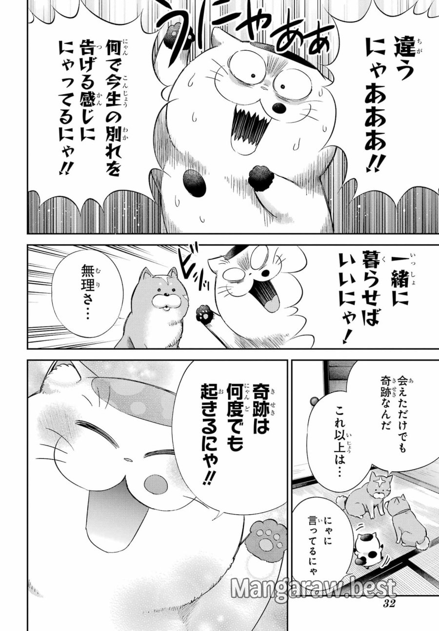 おじさまと猫 第134話 - Page 13