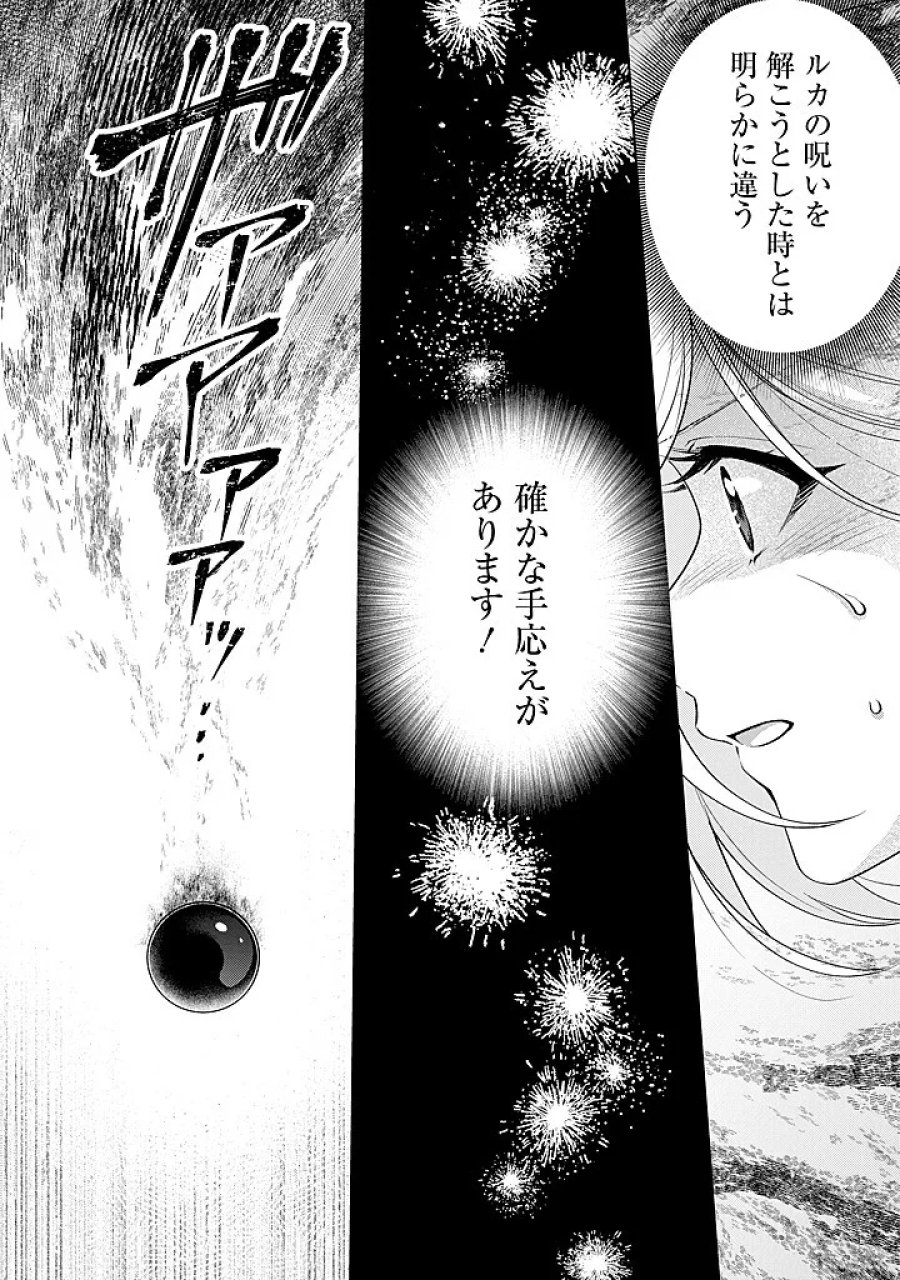 聖森聖女～婚約破棄された追放聖女ですが、狼王子の呪いを解いて溺愛されてます～今さら国に戻れって言われても遅いですっ！ 第28話 - Page 4