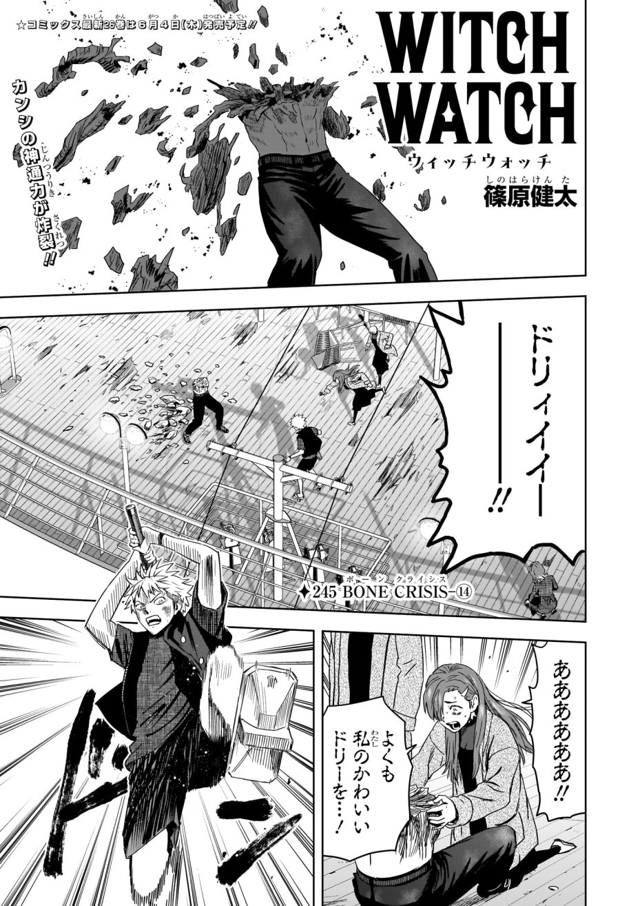 ウィッチ ウォッチ 第245話 - Trang 1