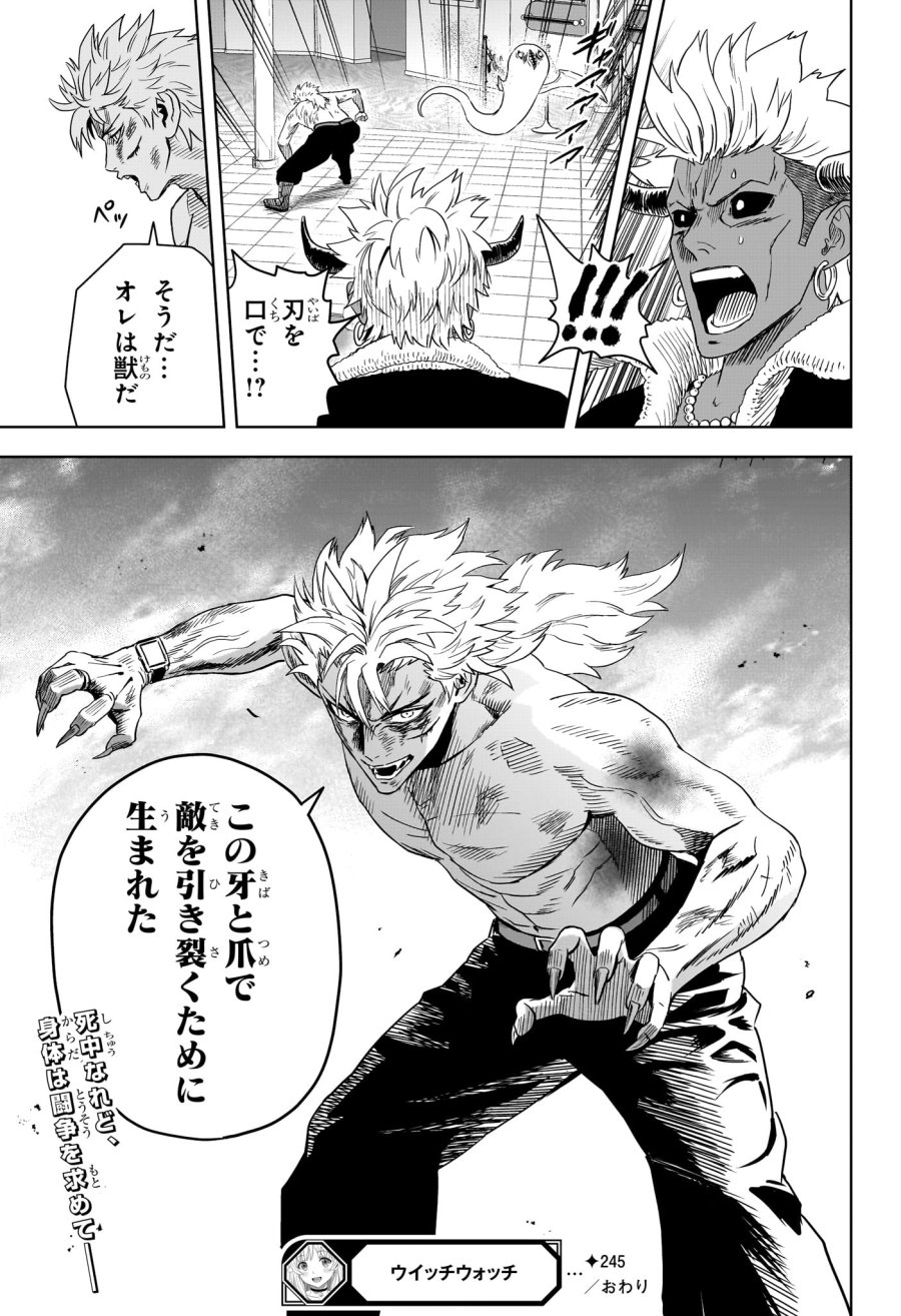 ウィッチ ウォッチ 第245話 - Trang 19