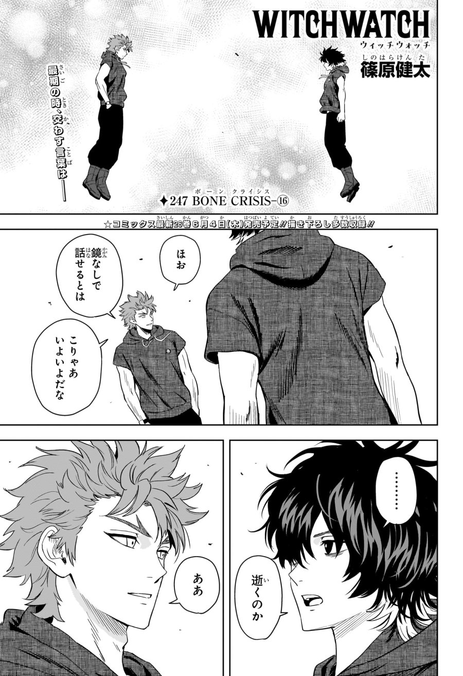 ウィッチ ウォッチ 第247話 - Trang 1