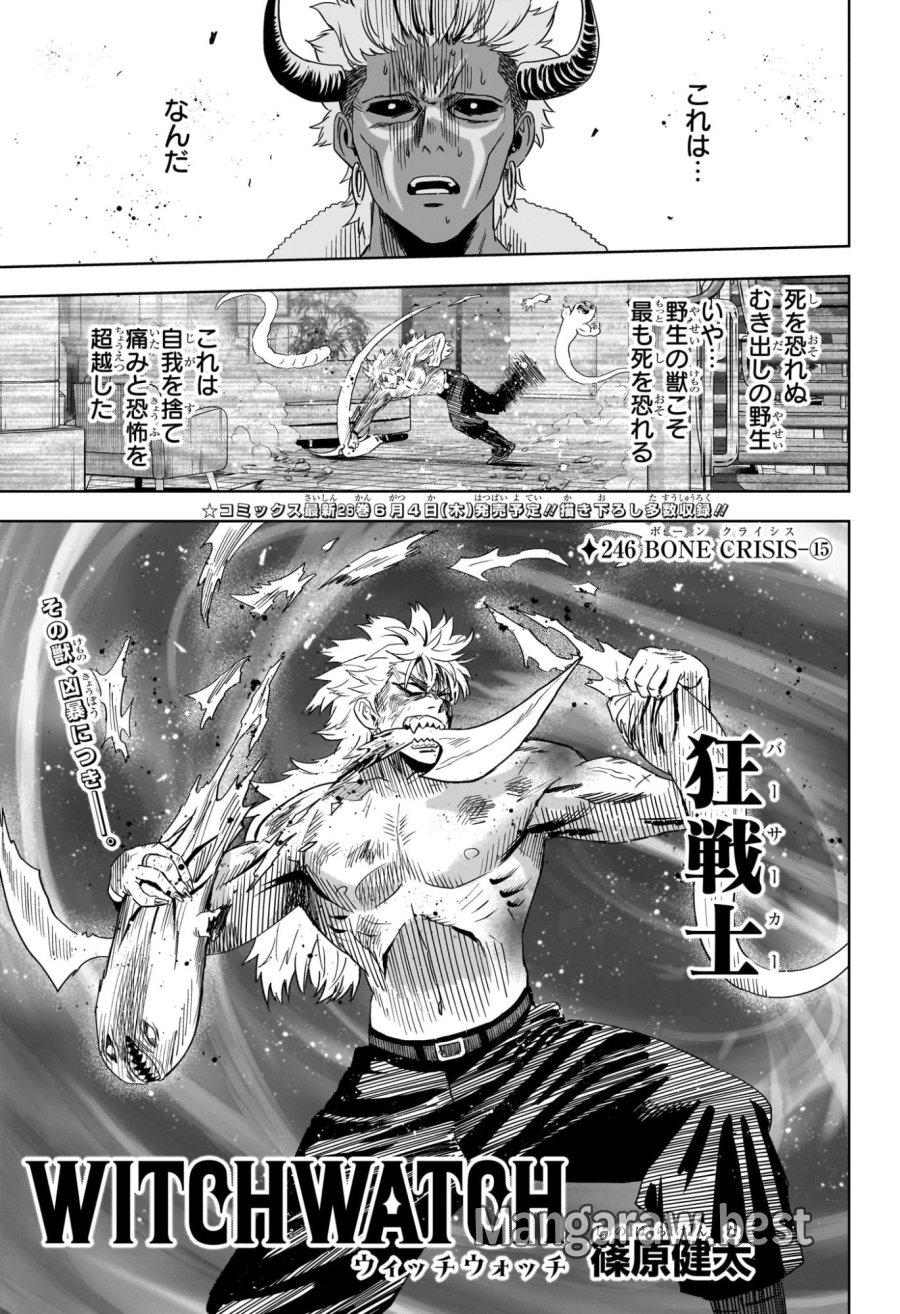 ウィッチ ウォッチ 第246話 - Trang 1